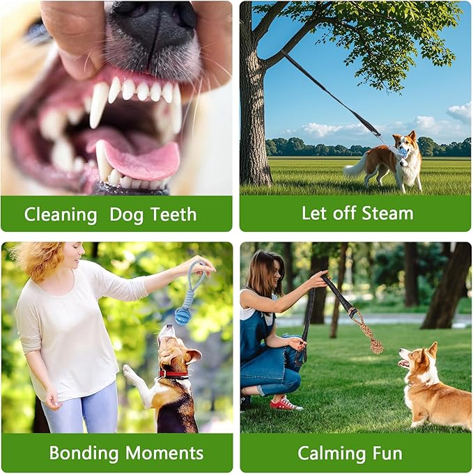 Hanging Tree Tug Toy,Bungee Dog Toy, Interactive Tether Tug Toy with 4Pcs,Exercise Play Rope, for Small/Medium Dogs