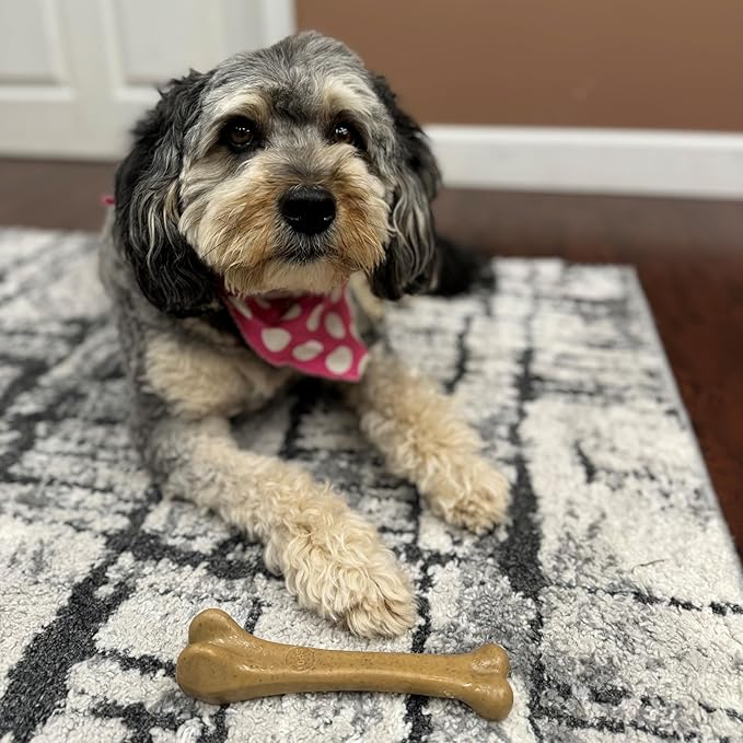 SPOT Bam-Bones Bone - Made with Strong Bamboo Fiber, Durable Long Lasting Dog Chew for Light to Moderate Chewers, Great Toy for Adult Dogs & Teething Puppies under 40lbs, 7.25in, Chicken Flavor