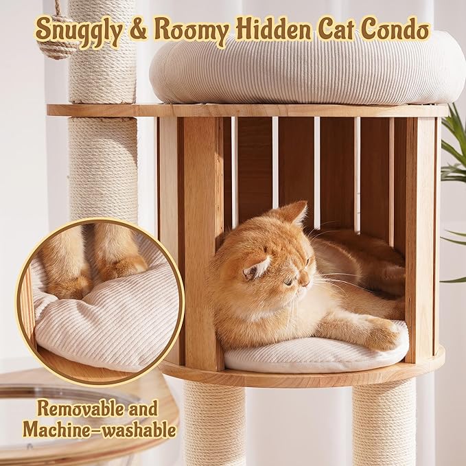 Modern Cat Tree Tower with Scratching Post, 61.5in Tall Cat Tree for Indoor Cats, Multi-Level Solid Wood Cat Furniture with Ladder, Cozy Cat Beds, Cat Condo, Capsule Nest, Dangling Toy, Natural