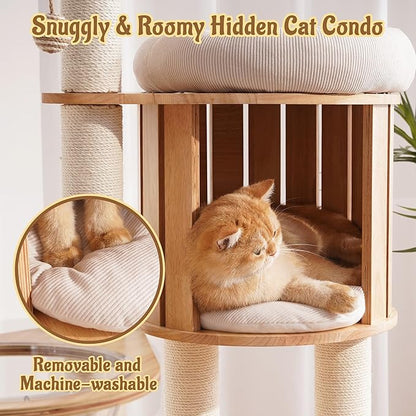 Modern Cat Tree Tower with Scratching Post, 61.5in Tall Cat Tree for Indoor Cats, Multi-Level Solid Wood Cat Furniture with Ladder, Cozy Cat Beds, Cat Condo, Capsule Nest, Dangling Toy, Natural