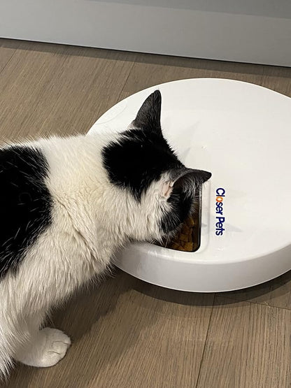 Closer Pets C500 5 Bowl Digital Timer-Controlled Automatic Pet Feeder - 5-Meal Feeder with Stainless Steel Bowl and Ice Packs, Wet or Dry Food, 5 Meals Up to 0.73 lb Each, White