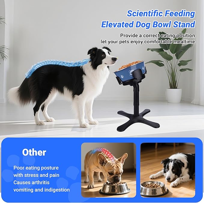 Dog Bowls,Elevated Adjustable Dog Bowl Stand with 3 Heights & Tilted Feeding Design, Raised Stand Compatible with Medium & Large Breeds(2 Pack) Black