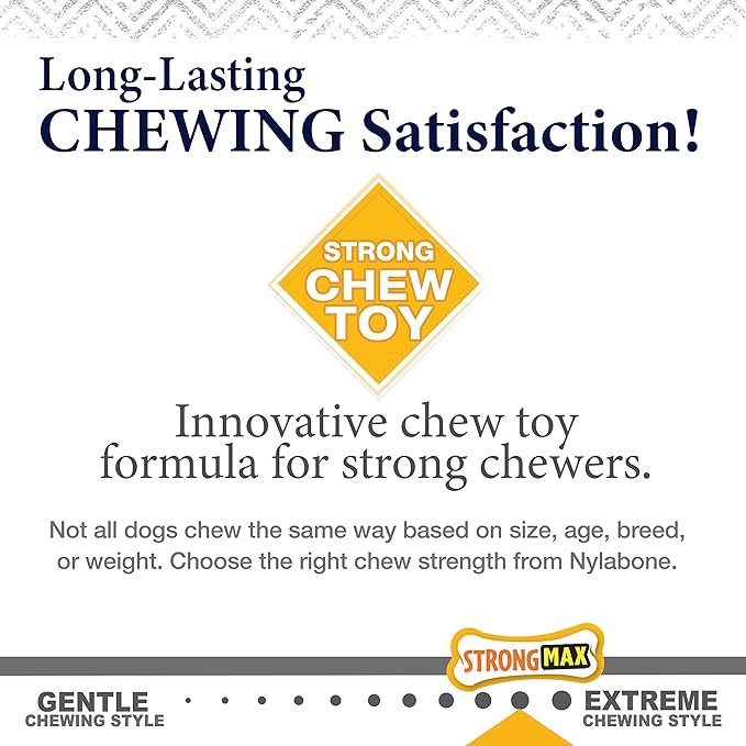 Nylabone Gourmet Style Wishbone Strong Chew Toy for Dogs, Chicken Flavor, Small - Up to 25 lbs, 1 Count