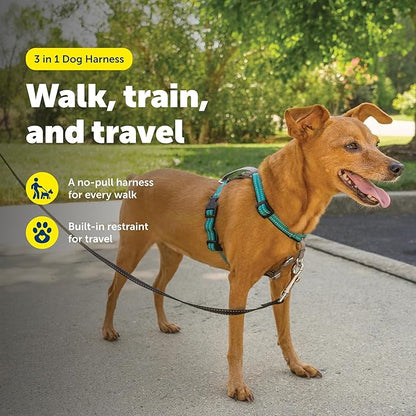PetSafe 3-in-1 Harness - Comfortable Easy-Walk Dog Chest Harness with Front Leash Attachment to Reduce Pulling, Choking & Gagging - Dog Obedience Gear - Extra Small - Teal