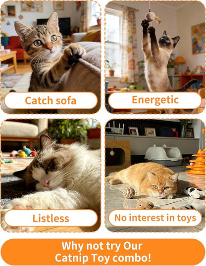 PET SHOW 20 Pack 1.57" Cat Toy Balls Soft EVA Foam Interactive Indoor Kittens Toys 40mm Dia. Small Dogs Puppies Pet Soccer Ball Bulk Activity Chase Quiet Play Two-Colors Cats Sponge Balls