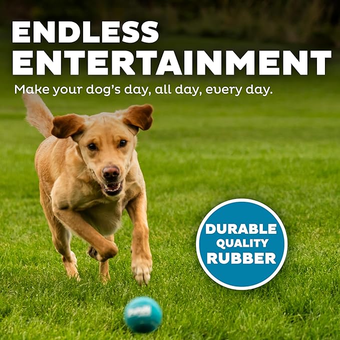 Outward Hound Squeaker Ballz – Squeaky Tennis Balls for Dogs Under 50 lbs, Interactive Dog Toy for Fetch & Training, Medium (2.5"), 6‑Pack
