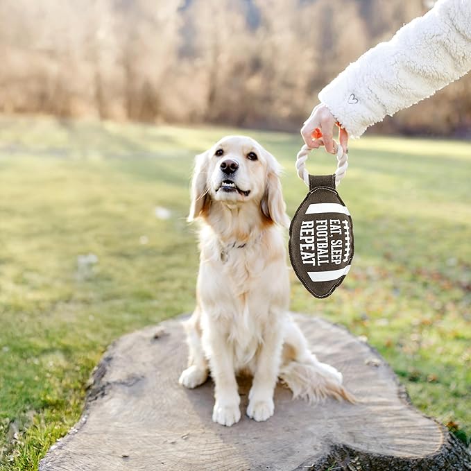 Pavilion Gift Company - Football - 12" Canvas Rope Dog Toy Chew Tug of War Football Game Sports Best Friend Dog Doggy Puppy K9 Gift