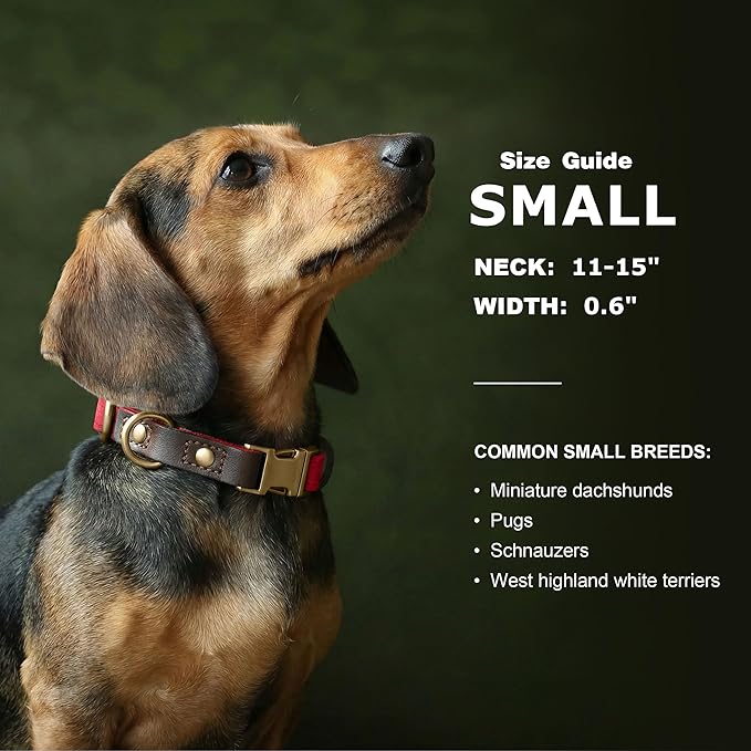 Didog Soft PU Leather Dog Collars for Small Dogs,Classic Adjustable Dog Collars with Quick Release Metal Buckle,Easy Clean and Comfortable with Nylon Lining,Red,S Neck 11-15"
