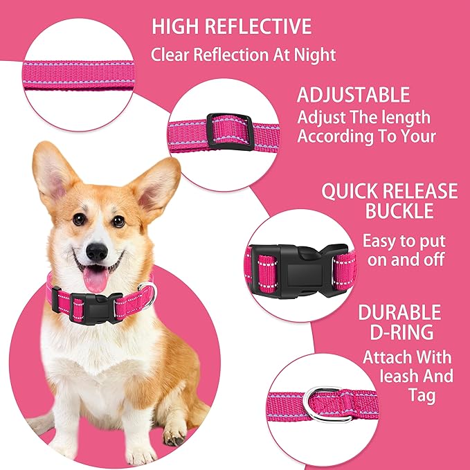 Reflective Dog Collar with Safety Locking Buckle, Adjustable Soft Breathable Nylon Collars for Small, Medium and Large Dogs(Collar+Leash L Hotpink)