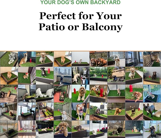 Porch Potty Artificial Grass Potty Pads for Dogs - Small Size 16x16x6 Reusable Potty Training Pad - Washable Pee Pads for Dogs - Unique Design - Instant Drainage -Quick Absorb - 2x2 Feet Grass Size
