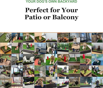 Porch Potty Artificial Grass Potty Pads for Dogs - Small Size 16x16x6 Reusable Potty Training Pad - Washable Pee Pads for Dogs - Unique Design - Instant Drainage -Quick Absorb - 2x2 Feet Grass Size