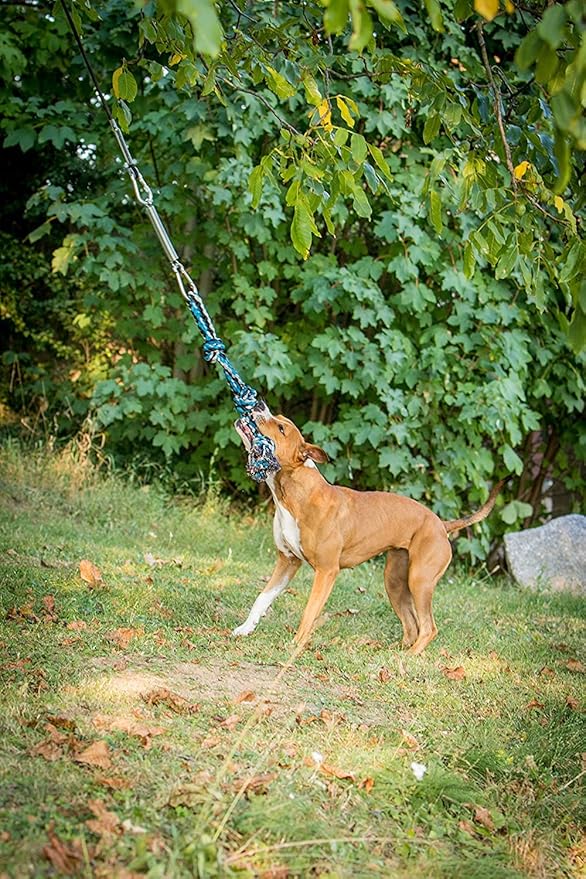 YES4QUALITY Flirt Pole for Dogs, 2 Durable Spring Poles with Strong Dog Rope Toy, Heavy Duty Lure Pole for Dogs of Any Size, Dog Toy for Fun Obedience Training & Exercise, Pull & Tug of War Toy