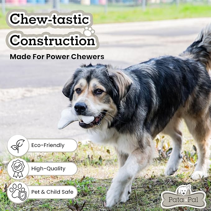 Durable Tough Cotton Canvas Squeaky Dog Toy, Eco-Friendly Interactive Chew Toy for Small, Medium & Large Dogs, T-Bone (White)