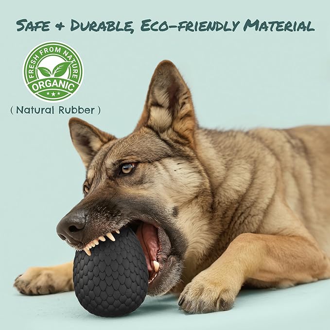 2-in-1 Enrichment Chew Toy for Dogs - Frozen Treat Toy & Dispensing Dog Puzzles Toy, Fillable Rubber Interactive Toy, Keeps Dogs Busy, Reduces Anxiety, Safe & Easy to Clean Black