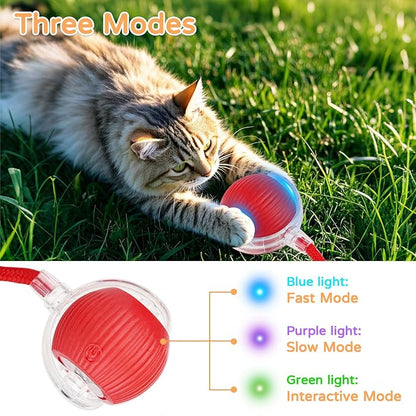 2025 New 2Pack Cat Ball Kitten Toys for Indoor Interactive Kitty Ball Toy Speedy Tail 360° Automatic Rolling for Dog, Cat(Red Grey)