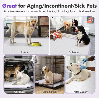 Gimars 36x36 XXXL Lavender Scented Ultra Absorbent 6-Layer Dog Pee Pads Extra Large, Leakproof Puppy Training Pads Quick-Dry Wee Wee Pee Pads for Dogs, Perfect for Puppies, Adult Senior Dogs