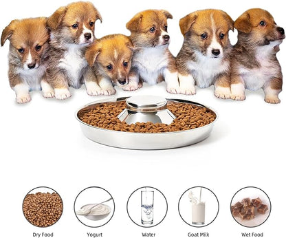 Stainless Steel Puppy Bowls, Set of 2 Puppy Feeder, Dog Food and Water Bowl, Food Feeding Weaning for Small Medium Large Dogs, Pets, S