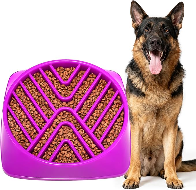 KASBAH Slow Feeder Dog Bowls Large Breed, 5 Cups Capacity for Wet & Dry Food, Puzzle Maze Bowl for Fast Eaters, Non-Slip Base, BPA Free, Helps Prevent Bloat and Aid Digestion