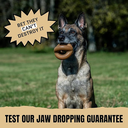 Virtually Indestructible Ring Ball - Natural Series - Lifetime Replacement - Durable Dog Chew Toy for Aggressive Chewers - Safe Non-Toxic Natural Rubber - Chew, Tug & Fetch - Med/Large, 4"
