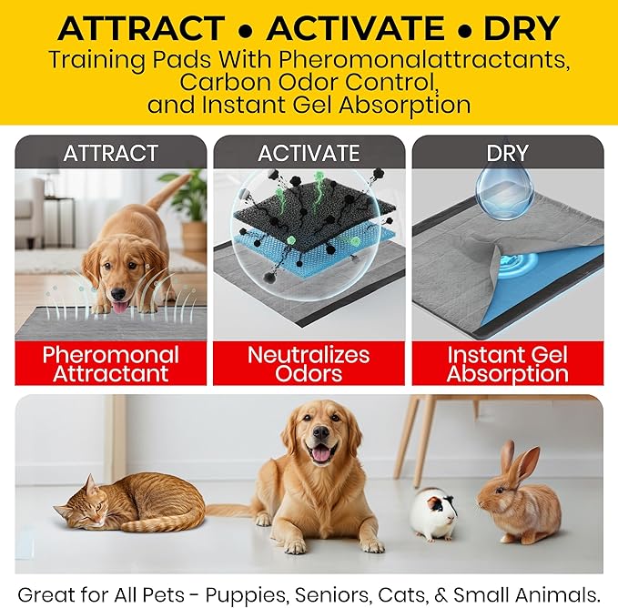 Glad for Pets Extra Large Charcoal Dog Training Pads, Absorbent Leak Proof Pee Pads for Dogs and Puppies, Odor Control Potty Pads with Activated Carbon, 28 x 30 Inches, 50 Count - 4 Pack