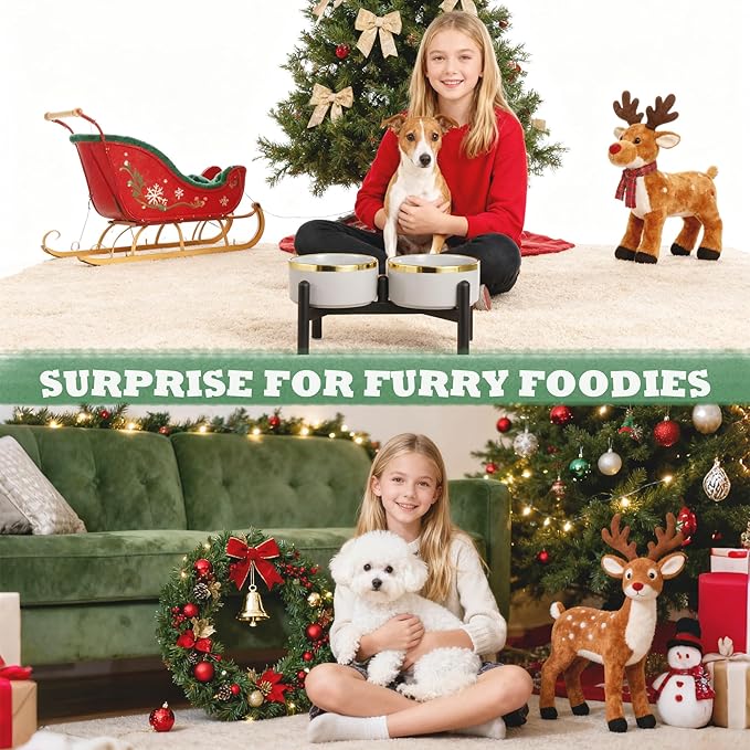 Ceramic Elevated Dog Bowl Set - Dog Feeder Station with Double Bowls for Small and Medium Size Breed - Non-Slip Raised Dish for Food and Water Feeding- 6 Inch - 3.5 Cups / 22 fl oz - Green