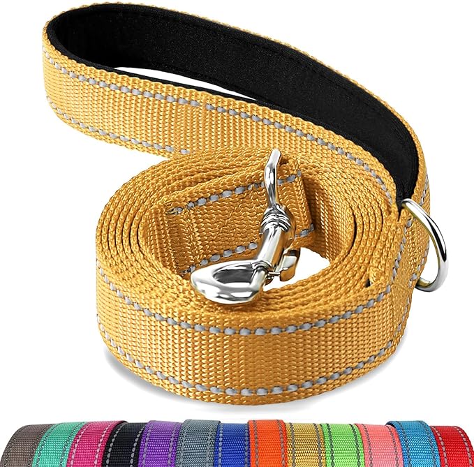 Joytale Dog Leash, 4 FT Double-Sided Reflective, Padded Handle Nylon Heavy Duty Leashes for Small Dogs Walking, Khaki