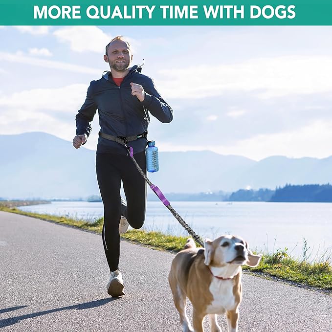 PetAmi Hands-Free Dog Leash for Walking, Running & Hiking, Heavy Duty Bungee Waist Leash with Dual Padded Handles, Adjustable Reflective Belt for Small, Medium & Large Dogs up to 150 lbs, Purple