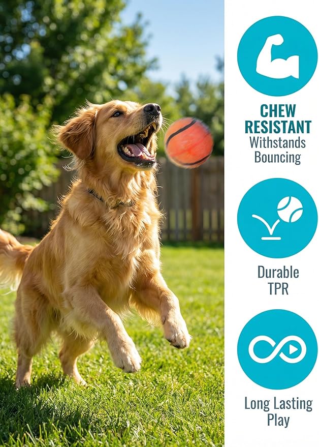 Colorful Squeaky Dog Toy Balls, Spiky Sensory 3" Balls for Dogs, Dog Chew Toys for Teething, Non-Toxic TPR,3 Pack, 3",Sport