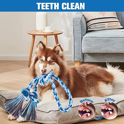 BINGPET 2 Pack Dog Rope Toy for Large and Medium Dogs,Heavy Duty Tug of War Dog Toy,Cotton Tough Dog Chew Teething Toys for Aggressive Chewers