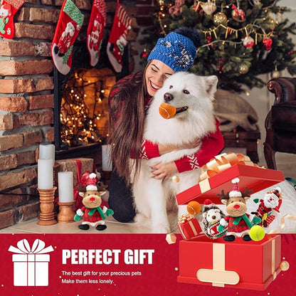 Christmas Dog Toy Set, 5 Pack Plush & Balls with Gift Bag – Reindeer, Santa, Hedgehog & Tennis Balls, Squeaky Durable Toys for Small Medium Dogs, Holiday Pet Gift Bundle