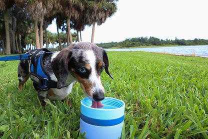 OhmyPet Pet Water Bottle Station with 3 Bowls and 32oz Bottle, Pink or Blue, for Dogs
