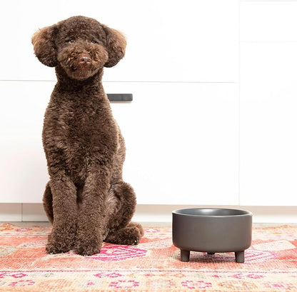 Waggo Uplift Ceramic Dog Bowl for Small Medium and Large Breeds - Set of 2 Heavyweight and Durable Pet Food and Water Dish Crock, Dishwasher Safe, Modern, Elevated Feeder (Black, Large)