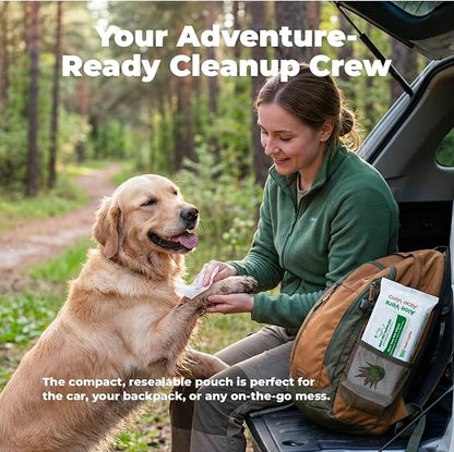 Best Pet Supplies 8" x 9" Large Unscented Dog Wipes - Cleaning and Deodorizing for Paws and Coat - Gentle Formula with Aloe Vera Vitamin E for Puppies and Cats - 100 Count