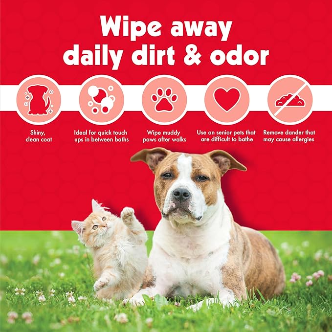 Petkin Pet Wipes for Dogs and Cats - 400 Large Wipes - Removes Dirt & Odor - Cleans Ears, Face, Butt, Eye Area - Convenient for Home or Travel - 4 Packs.