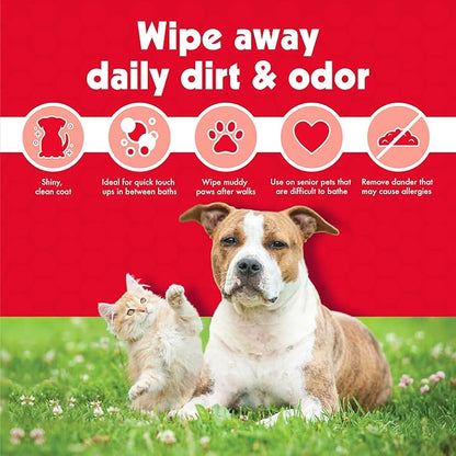 Petkin Pet Wipes for Dogs and Cats - 400 Large Wipes - Removes Dirt & Odor - Cleans Ears, Face, Butt, Eye Area - Convenient for Home or Travel - 4 Packs.