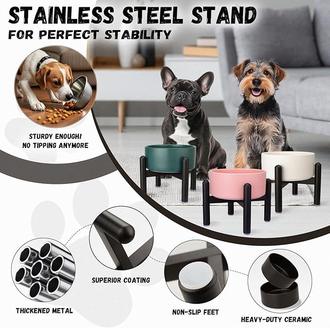 Raised Ceramic Dog Bowl - Elevated Food Water Dish with Stainless Steel Stand - for Small to Medium Dogs - 6 Inch - 2 Cups (28.75 fl oz) - Black