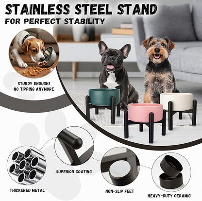 Raised Ceramic Dog Bowl - Elevated Food Water Dish with Stainless Steel Stand - for Small to Medium Dogs - 6 Inch - 2 Cups (28.75 fl oz) - Green