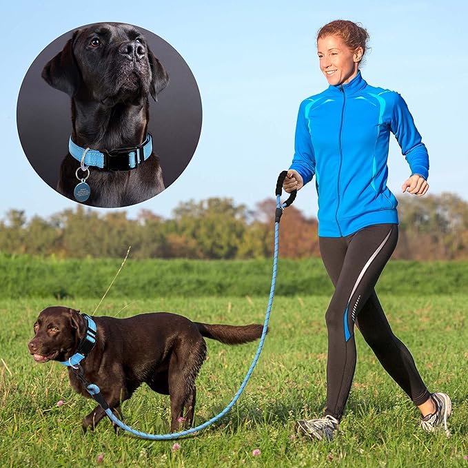 Reflective Dog Collar Padded with Soft Neoprene Breathable Adjustable Nylon Dog Collars for Small Medium Large Dogs (Large (Pack of 1), Vivid Blue Collar+Leash)