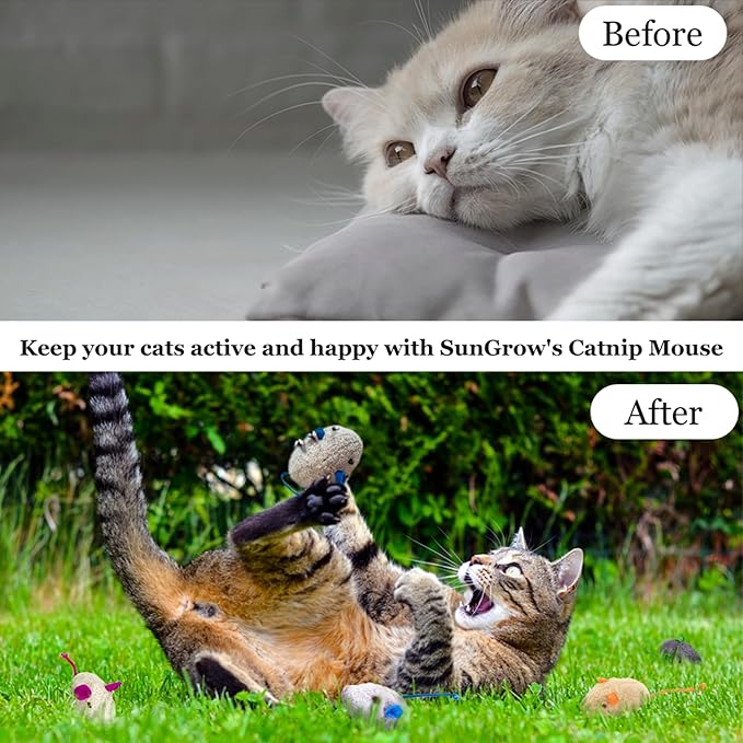 SunGrow Cat Catnip Mice Toys, Furry Plush for Hunting and Pouncing Instinct, 2”, Interactive, Encourages Agility, Coordination, Fun for Hours, Multicolor, 10 Pcs per Pack