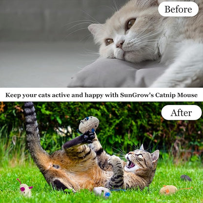SunGrow Cat Catnip Mice Toys, Furry Plush for Hunting and Pouncing Instinct, 2”, Interactive, Encourages Agility, Coordination, Fun for Hours, Multicolor, 10 Pcs per Pack