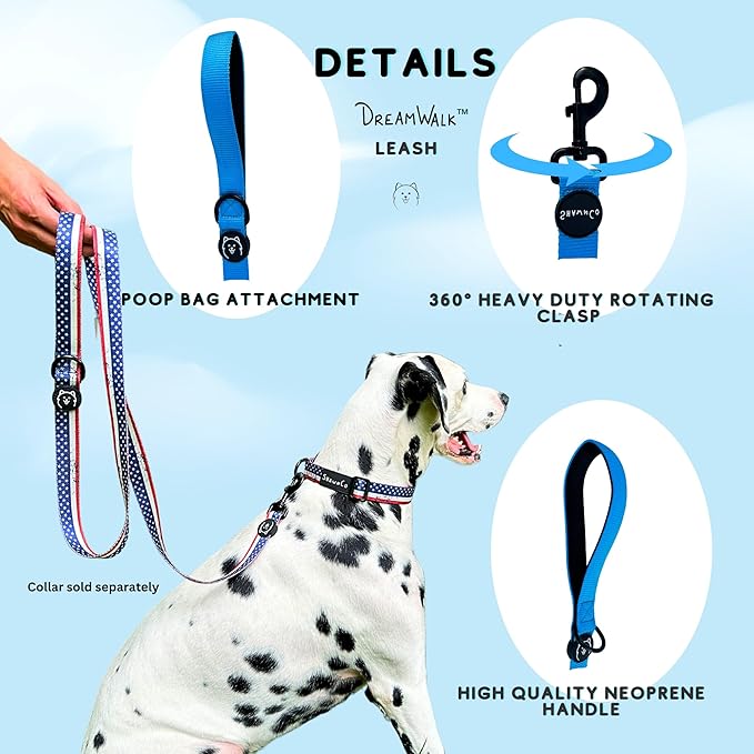 ShawnCo Dream Walk Dog Leash- Premium, Nylon Pet Leash with Soft Neoprene Handle for Small, Medium and Large Dogs (Sunset Orange, Small)