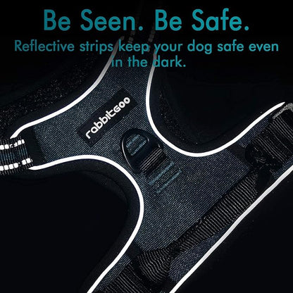 rabbitgoo Dog Harness No Pull with 2 Leash Clips, Adjustable Soft Padded, Reflective Oxford No Choke Pet Vest with Easy Control Handle for Small Dogs, Blue Coral, S
