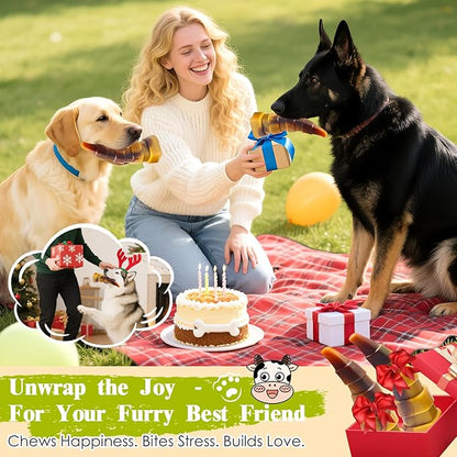 Dog Chew Toys for Aggressive Chewers, 2 Pack Indestructible Dog Toys for Large Dogs, Super Chewer Pet Toy for Large Medium Small Breed