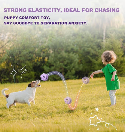 Dog Chew Toys for Aggressive Chewers, Natural Rubber/Interactive Dog Toy for Fetch & Tug, Indestructible Dog Toy - Anxiety Relief & Long Lasting & Training & Dishwasher Safe, Tough Dog Toy, Purple