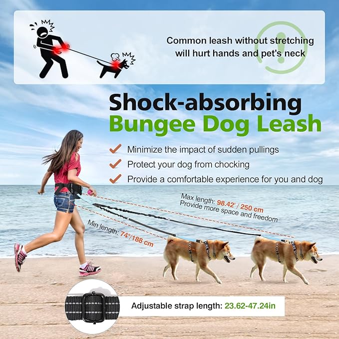 Hands Free Dog Leash 2 Dogs, Adjustable Waist Leash for Dog Walking with Dual Bungees Padded Handle, Shock Absorbing Hands Free for Small Medium-Sized Dogs Outdoor Activities, Black+Blue