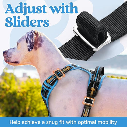 rabbitgoo Dog Harness for Large Dogs, No Pull Pet Vest with 3 Buckles, Adjustable Soft Padded Pet Harness with Easy Control Handle and Reflective Strips, Black & Sky Blue, XL