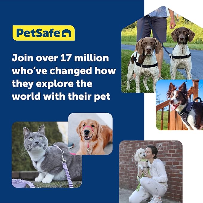 PetSafe Easy Walk Harness for Dogs - Pull-Free Walks - Patented Martingale Loop Design - Front Chest Leash Attachment - Comfort Straps - Breathable Harness Design - Small, Royal Blue/Navy Blue