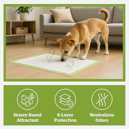 Pogi’s Puppy Pads with Sticky Tabs – Medium, Super Absorbent, Odor Blocking, 20-Count (18x24in)