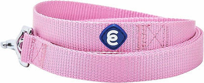Blueberry Pet Essentials Fuchsia Pink Dog Leash for Medium - 5' * 3/4" Dogs | Heavy Duty Nylon Lead | Lightweight Puppy & Cat Leash for Walking & Training