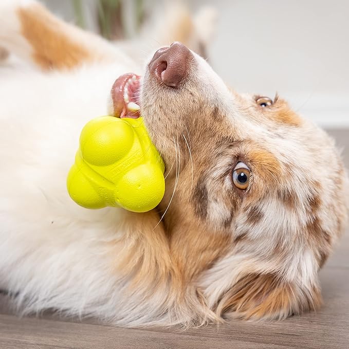 Hyper Pet Fetching Dog Toys - Throwing Bumpy Ball Dog Toy Made with EVA Foam - Lightweight & Floats on Water